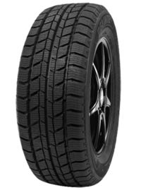 DELINTE Winter WD2