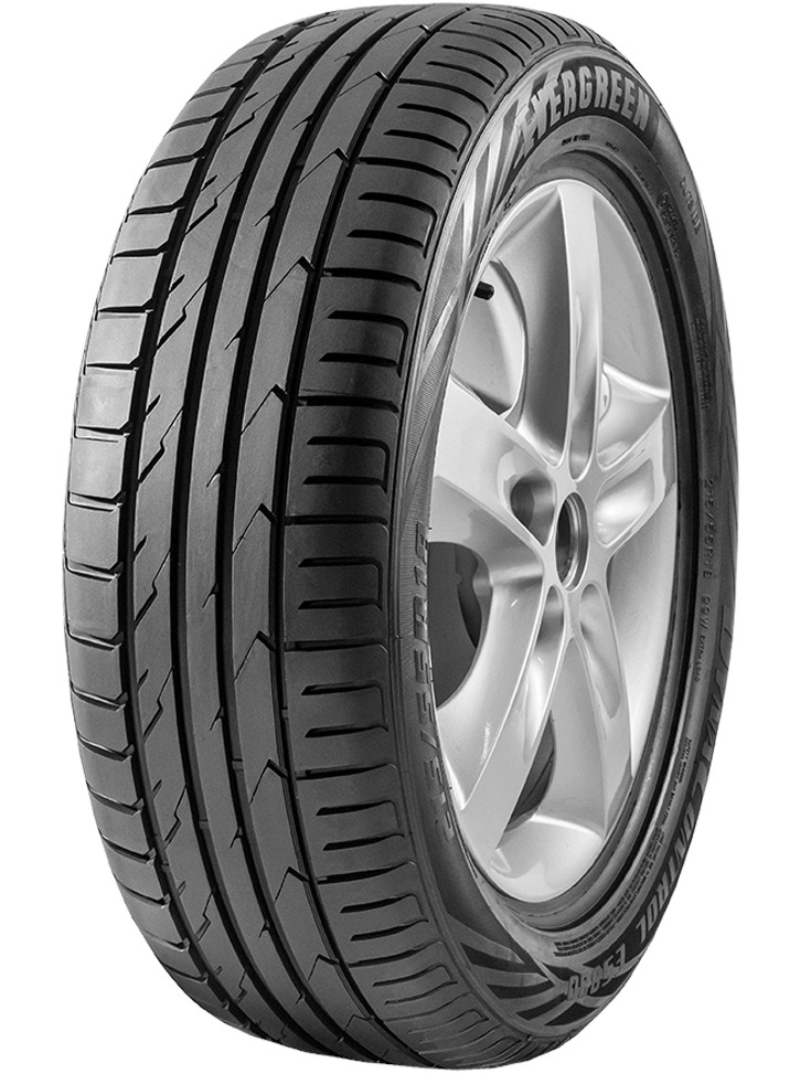 EVERGREEN DynaControl ES880