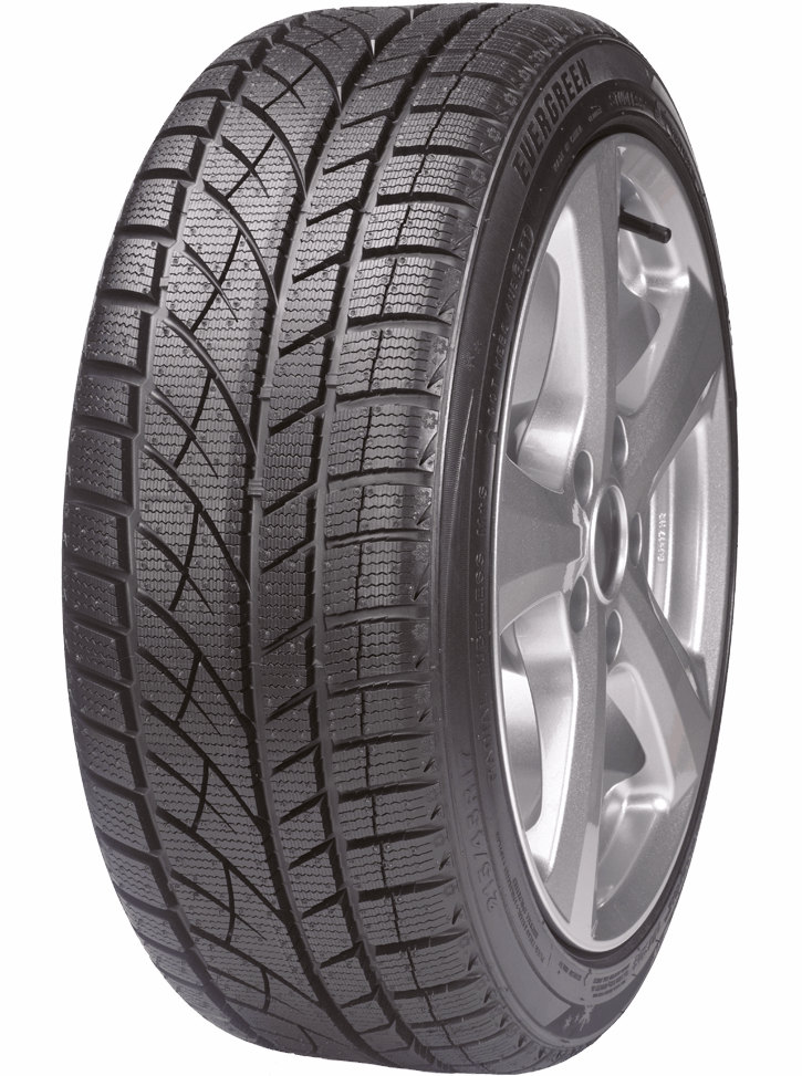 EVERGREEN EW66