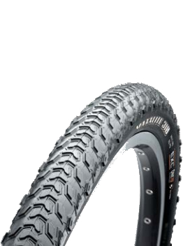 Pneus MAXXIS MaxxLite 310