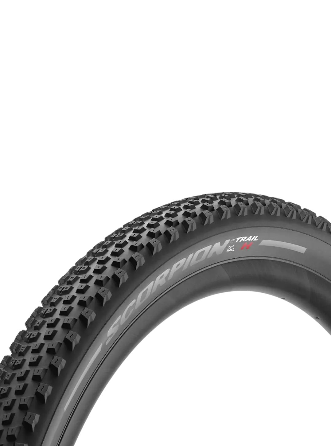 Scorpion Trail H