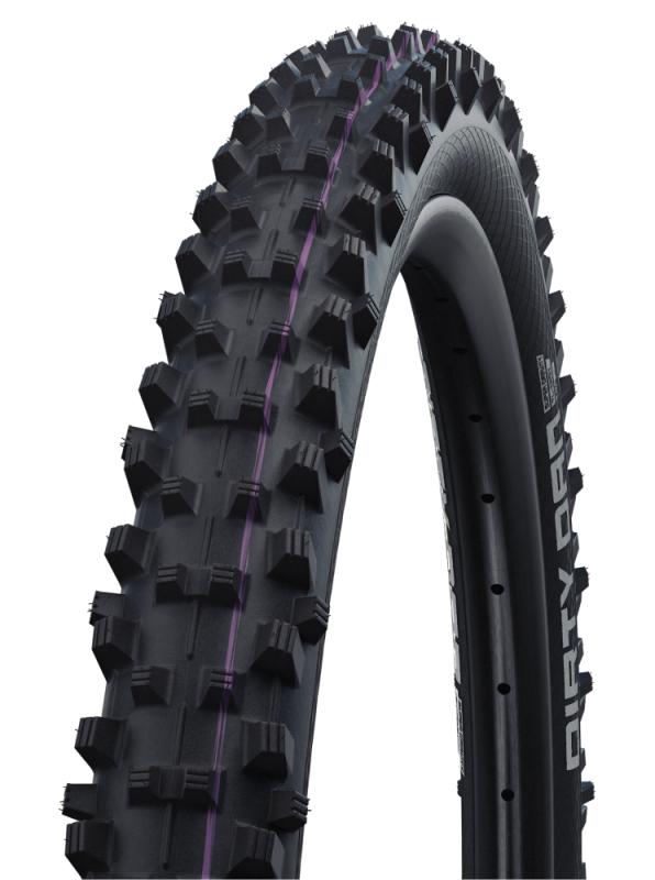 Pneus SCHWALBE Dirty Dan HS417