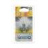 Ampoules