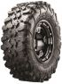 28141753-Carnivore ML1