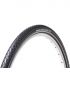 PANARACER TourGuard Plus