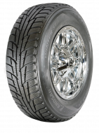 22447630-Winter Star