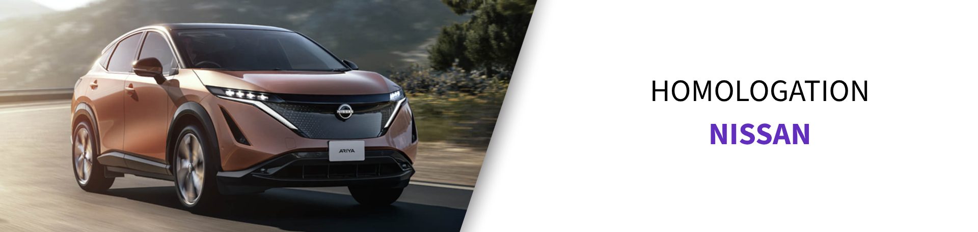 Pneu homologué Nissan